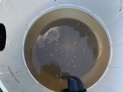 Eau sale récupérée dans la cuve de la machine d'injection-extraction