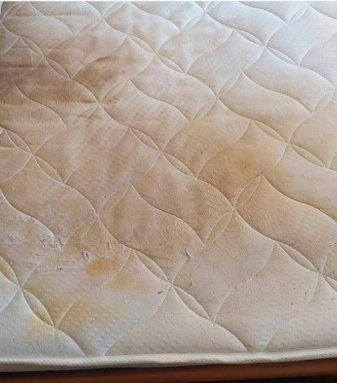 Avant nettoyage - Matelas - Traitement anti-acariens