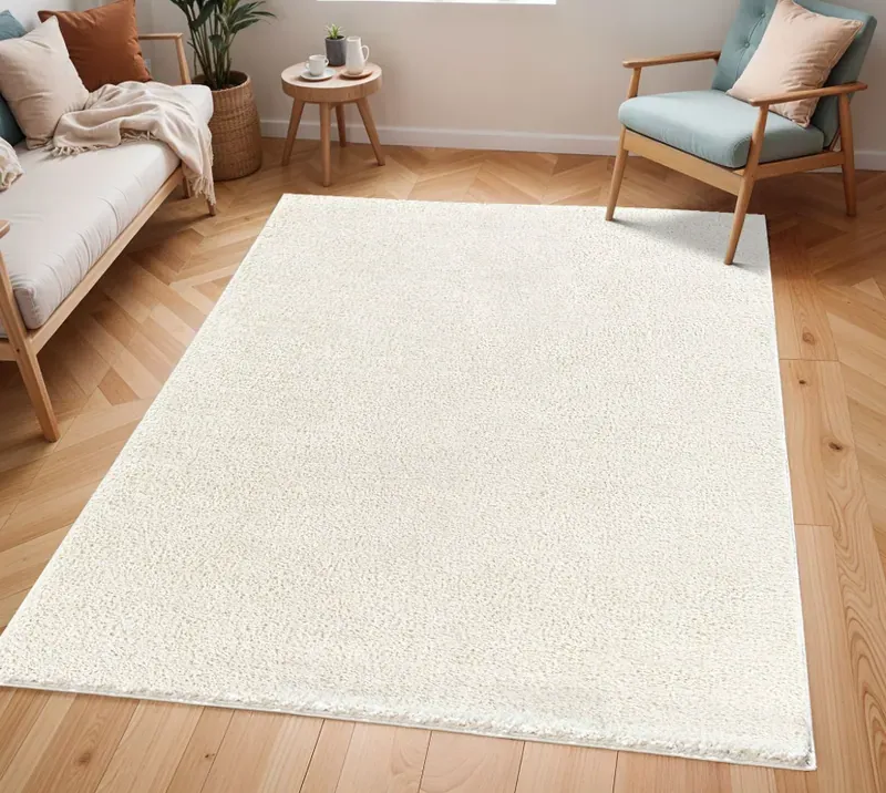 Nettoyage de tapis à domicile