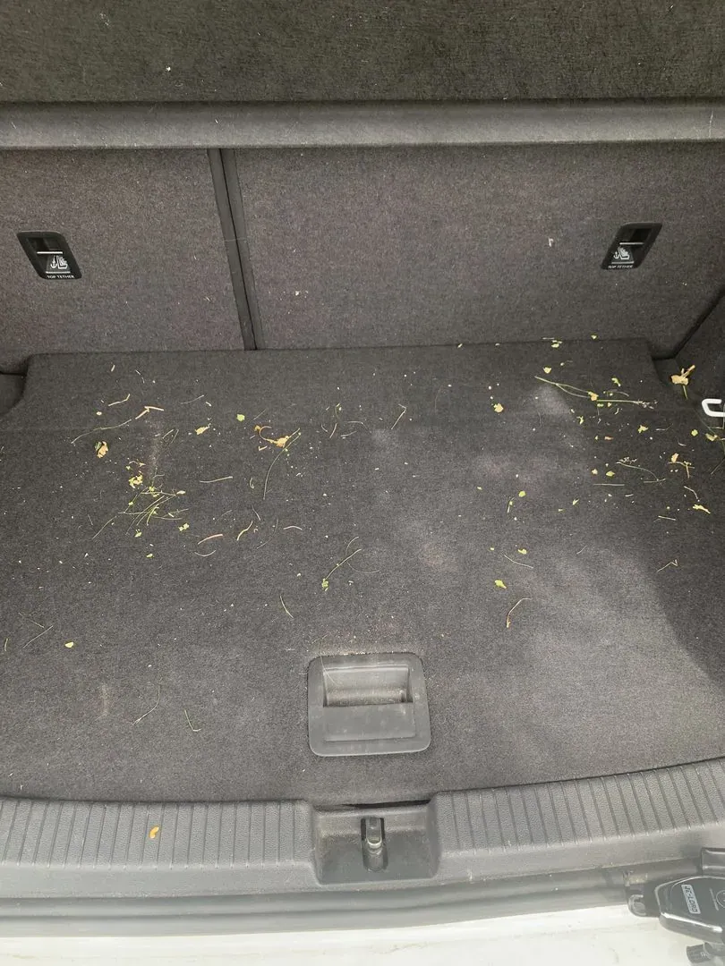 Moquette de coffre de voiture chargée de débris, avant aspiration
