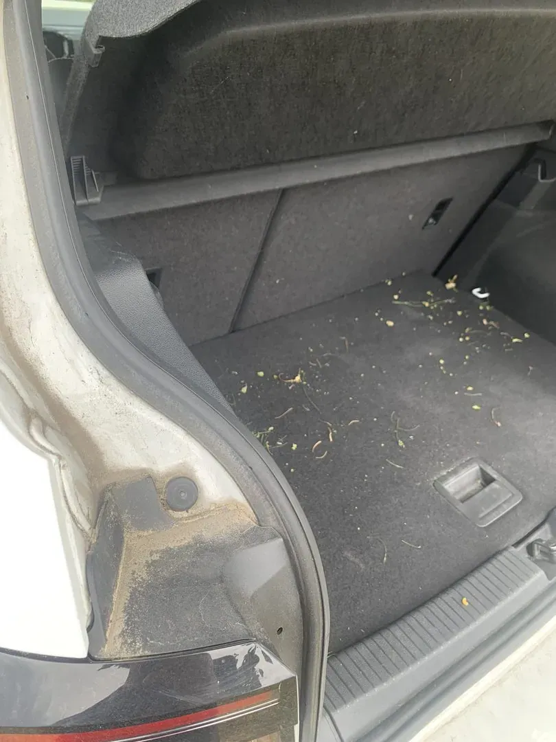 Coffre de voiture, vue latérale, avant nettoyage à domicile